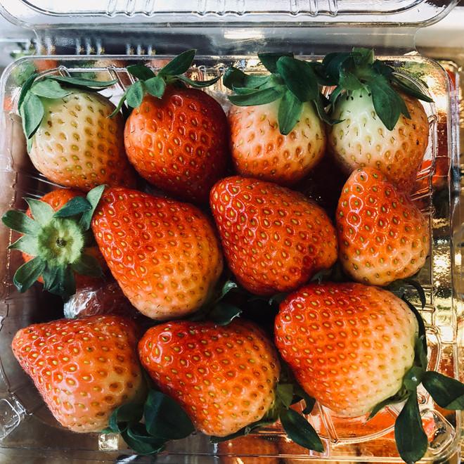 Nho 11 triệu đồng/chùm, dưa hấu 4 triệu/quả vẫn hút giới nhà giàu Việt-2