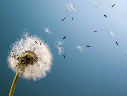 Top 3 con giáp được ăn TẾT TIỀN TÀI và đúng dịp RẰM TRUNG THU, của nả ngập nhà sướng không ai bằng-4