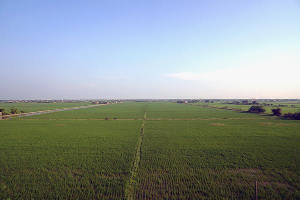 Ảnh: Nét đẹp Ninh Bình - quê hương Chủ tịch nước Trần Đại Quang-1