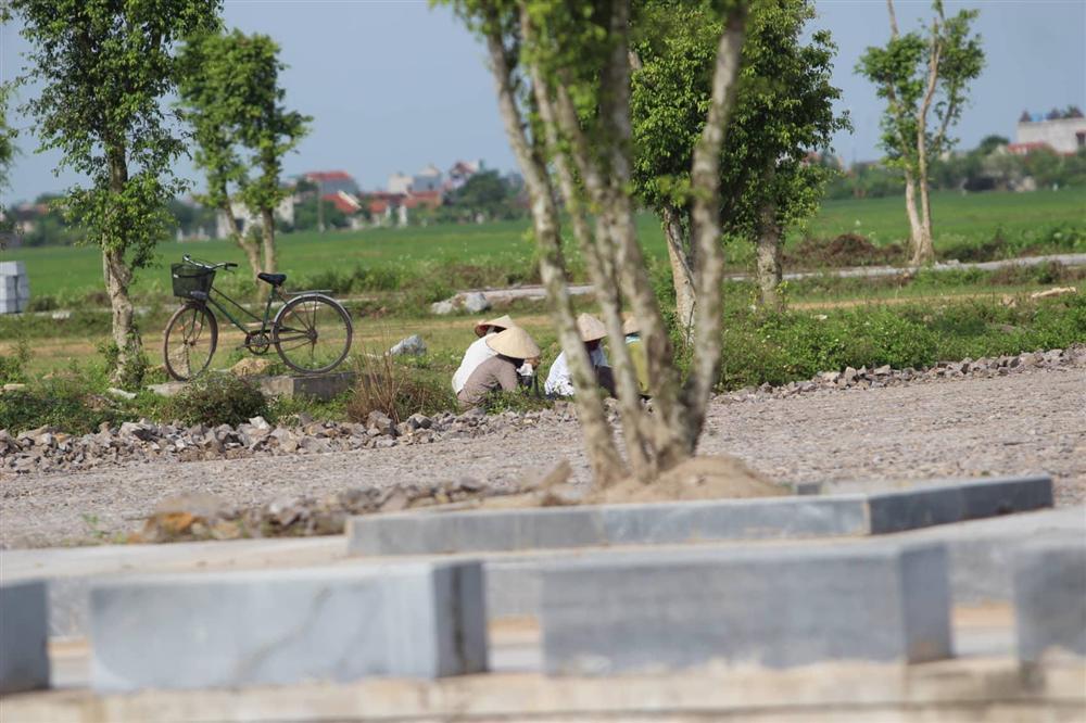 Quê nhà Ninh Bình gấp rút chuẩn bị lễ Quốc tang Chủ tịch nước-6