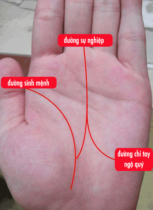 3 đường chỉ tay may mắn đem lại phú quý giàu sang khi về già-3