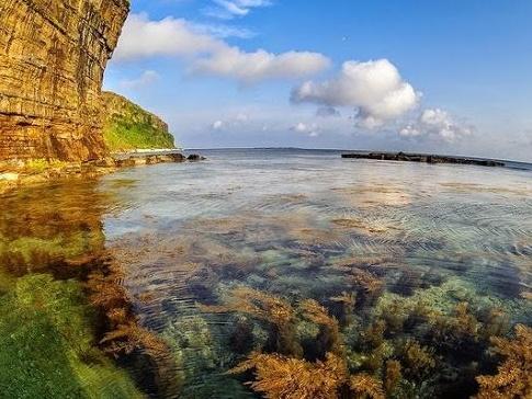 Cung điện gothic lớn nhất châu Âu, từng là nơi ở của Giáo hoàng-2