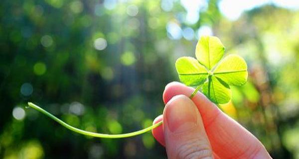 Tử vi của 12 cung hoàng đạo thứ Sáu ngày 28/9/2018: Ma Kết liên tục gặp thị phi-3