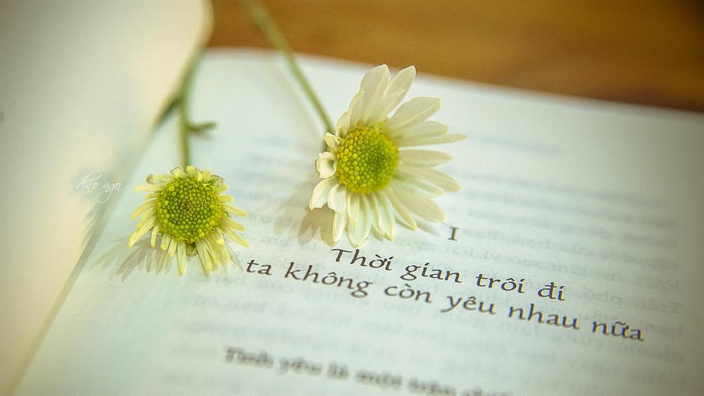 Khi người ta không còn yêu bạn, họ bỗng biến mất như chưa từng tồn tại trên đời-1