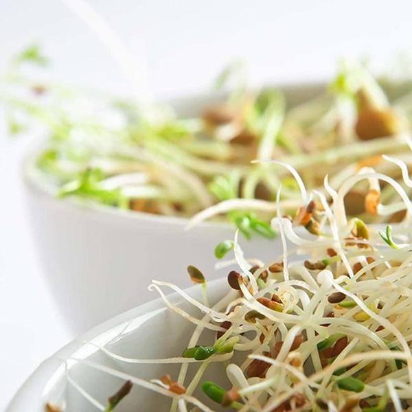 Tuyệt đối không ăn sống 9 thực phẩm này kẻo có ngày hối hận-6