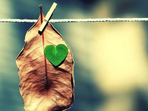 Tử vi tháng 10/2018 đầy biến động của 12 cung hoàng đạo: Bạch Dương ổn định, Bọ Cạp khó khăn