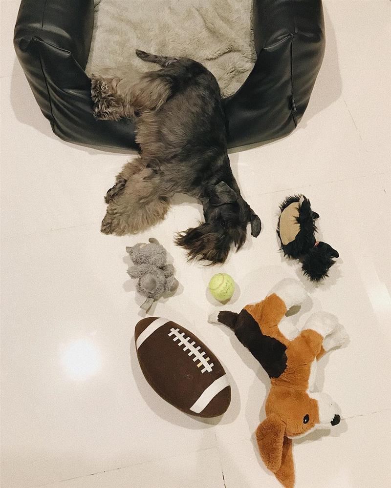 Dân mạng chế hài hước theo trào lưu ngã sấp mặt của hội con nhà giàu-11