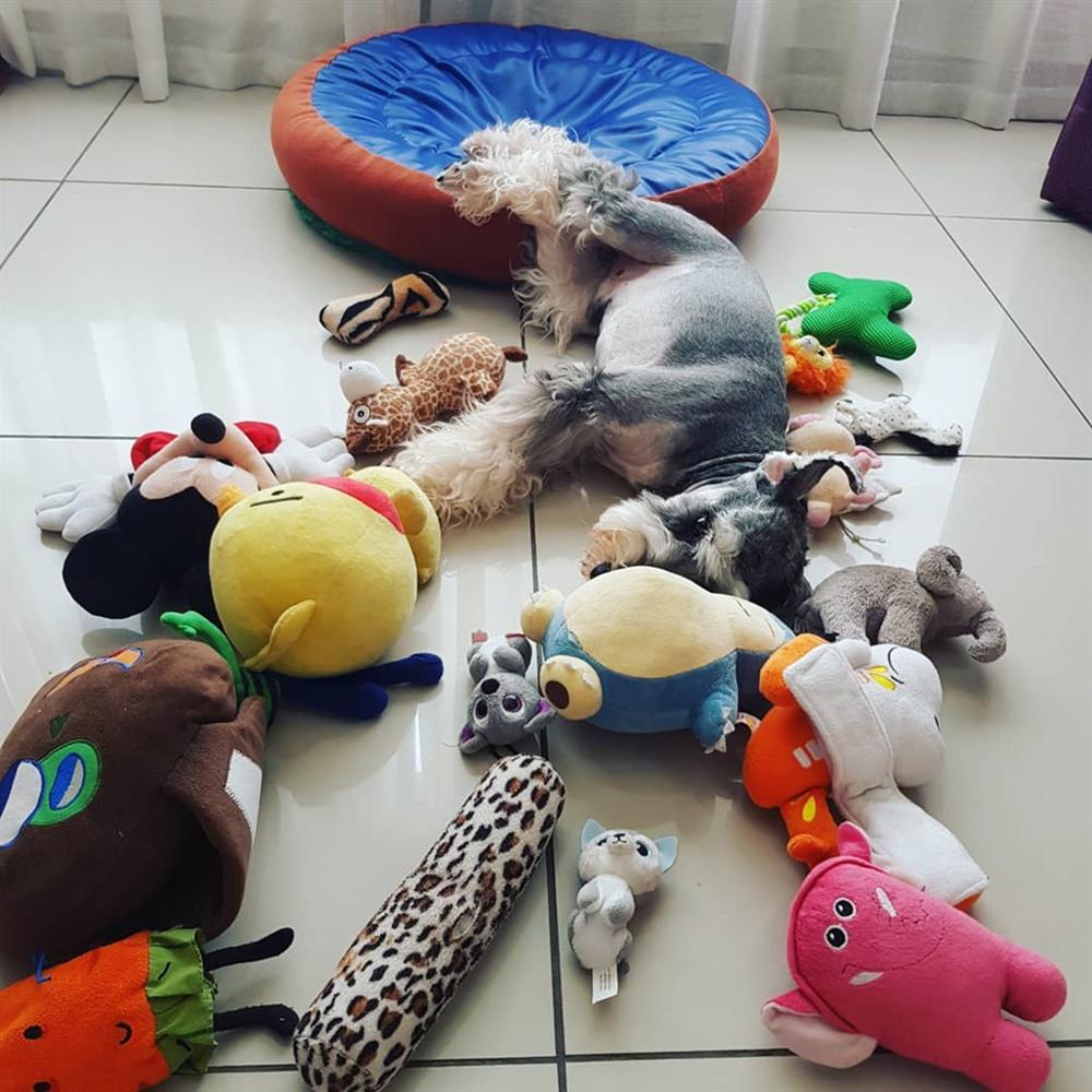 Dân mạng chế hài hước theo trào lưu ngã sấp mặt của hội con nhà giàu-12