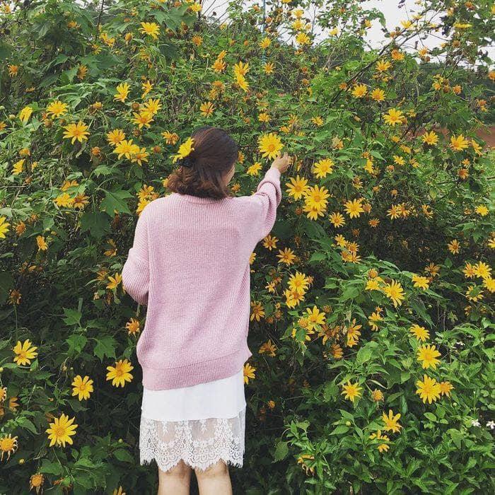 Tháng 10 rồi rủ bạn thân đến Ba Vì để ngắm hoa dã quỳ thôi-3