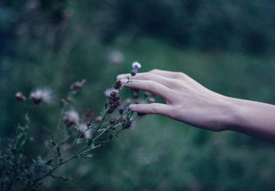 Tử vi thứ Ba ngày 2/10/2018 của 12 con giáp: Tuổi Sửu vận may ngập tràn, tuổi Thân mất tiền mất của-4