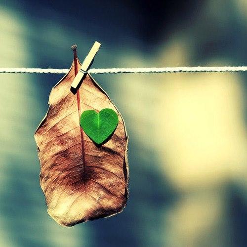 Tử vi thứ Ba ngày 2/10/2018 của 12 con giáp: Tuổi Sửu vận may ngập tràn, tuổi Thân mất tiền mất của-3