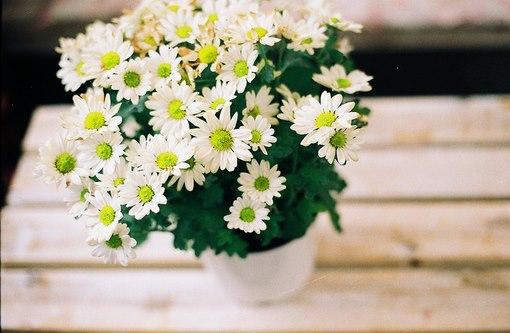 Tử vi thứ Ba ngày 2/10/2018 của 12 con giáp: Tuổi Sửu vận may ngập tràn, tuổi Thân mất tiền mất của-5