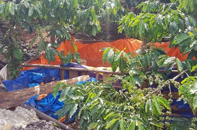 Đột nhập đường hầm bí mật của vàng tặc ở Lâm Đồng-9