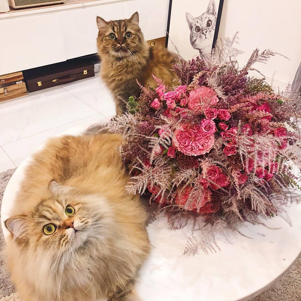 Chỉ một bó hoa, Shark Khoa khiến fans xốn xang trước thông tin hẹn hò với ca sĩ Bích Phương-2