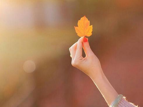 Tử vi thứ Tư ngày 3/10/2018 của 12 con giáp: Tuổi Thân tình yêu gõ cửa, tuổi Dậu tỉnh táo