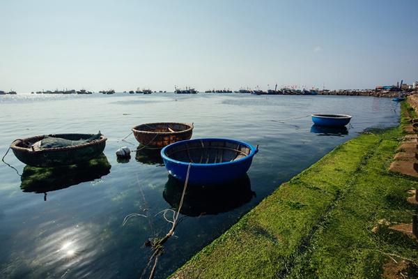Chiêm ngưỡng Lý Sơn hoang sơ đẹp tựa thiên đường-6