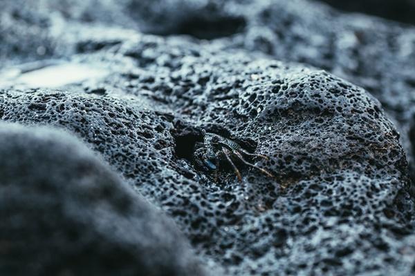 Chiêm ngưỡng Lý Sơn hoang sơ đẹp tựa thiên đường-10