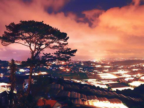 Đến Đà Lạt, đừng quên bánh bèo, xắp xắp trong chuyến khám phá ẩm thực-15