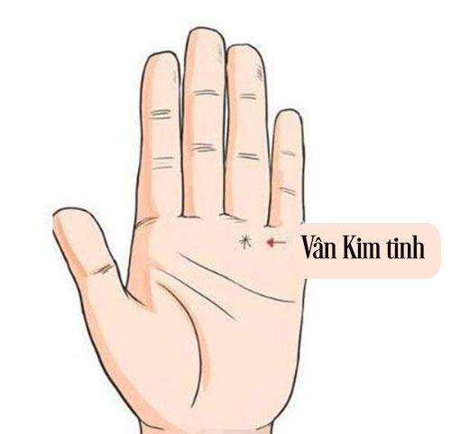 4 đường chỉ tay đặc biệt giúp thăng quan tiến chức, phú quý song toàn-2