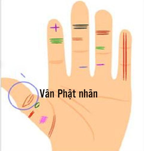 4 đường chỉ tay đặc biệt giúp thăng quan tiến chức, phú quý song toàn-3