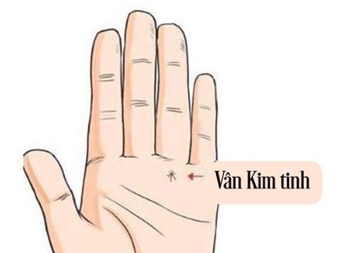 Sở hữu một 1 trong 4 đường chỉ tay sau đây, bạn có muốn nghèo cũng không được-5