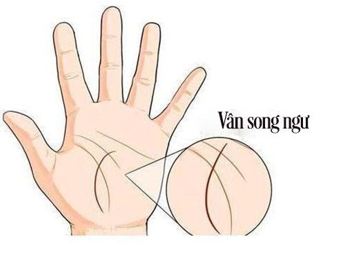 4 đường chỉ tay đặc biệt giúp thăng quan tiến chức, phú quý song toàn-4