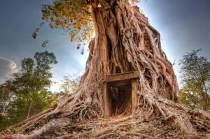 Mê mẩn ngắm những kỳ quan đáng kinh ngạc nhưng ít người biết tới-1