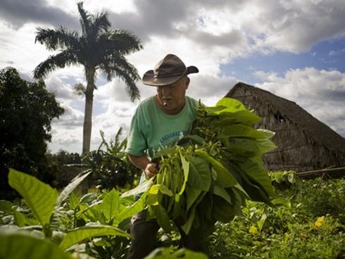Đến Cuba, khám phá khu Havana cổ sống động hơn 400 năm tuổi-1