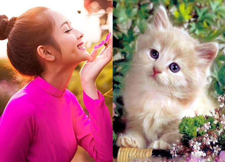 Chúc mừng 3 con giáp có đường tình đỏ như son, người theo đuổi xếp hàng dài trăm cây số trong năm 2019-2