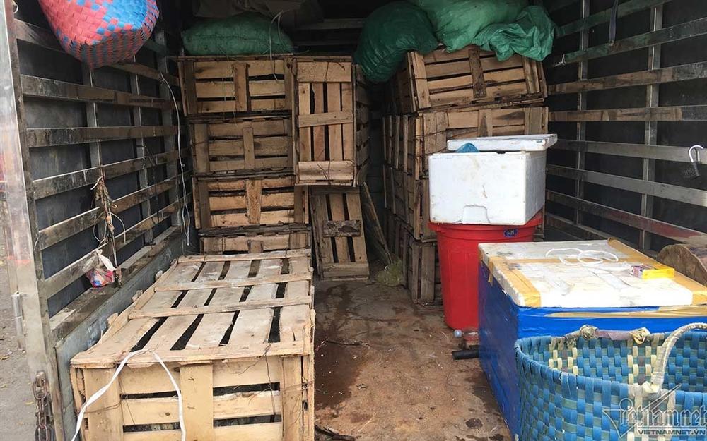 Ớn lạnh cảnh chích điện giết cá sấu ở thủ phủ đá đỏ-5