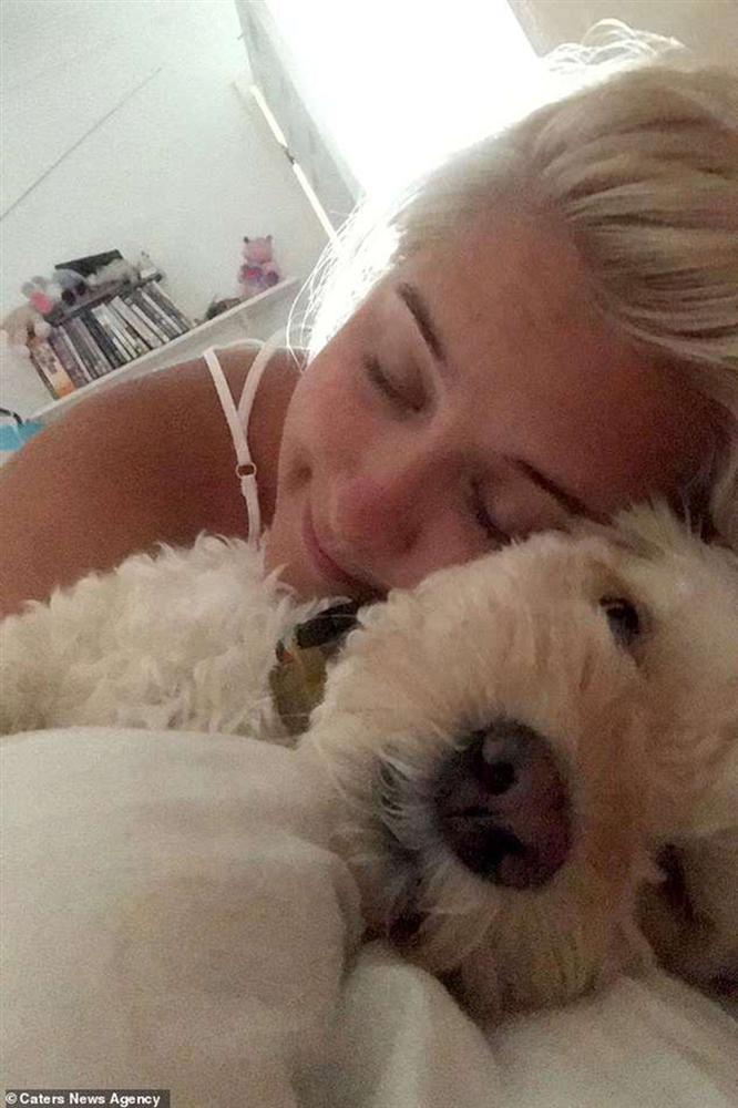 Chú chó phá nát căn nhà, chủ nhân chi 46 triệu đồng sửa chữa vẫn không trách nửa lời-4