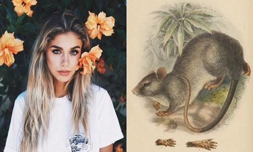 4 con giáp gặp vận đen đeo bám, liên tục bị tiểu nhân ngáng đường vào những tháng cuối năm 2018-1