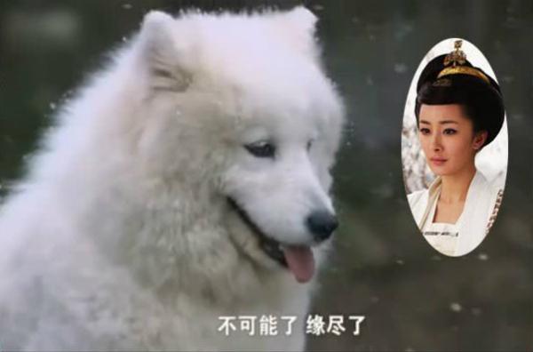 Phim Hoa ngữ lừa khán giả bằng những đạo cụ hài hước-4