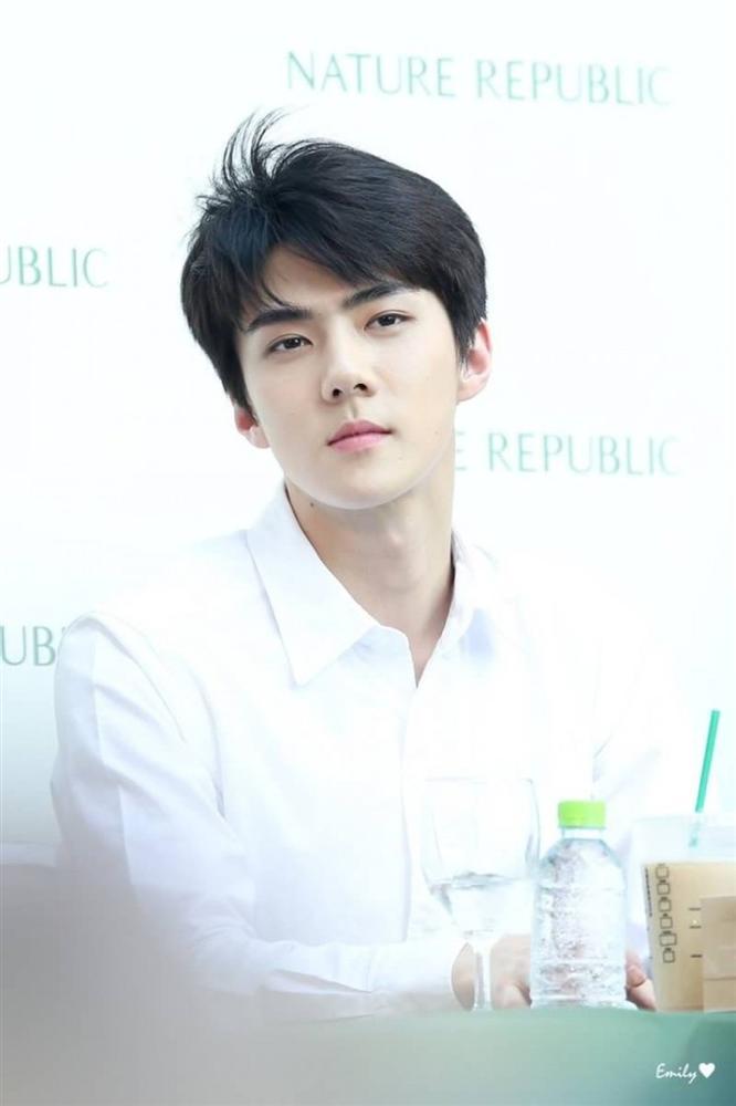 Nhóm nhạc BTS - Yoona (SNSD) cùng Sehun (EXO) thắng giải Asia Artist Awards 2018-5