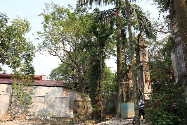 Sâu béo nhung nhúc: Đặc sản kinh hoàng, dân Việt nhậu lai rai-2