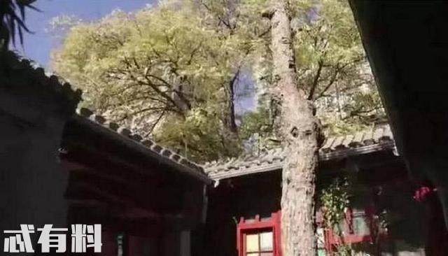 Lý Thần gầy rộc nhếch nhác sau 1 tháng chạy vạy giúp Phạm Băng Băng nộp trả tiền trốn thuế-3