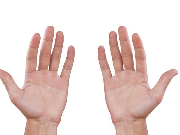 Chọn bạn mà chơi, 3 cung hoàng đạo này dù có giàu cũng chia tiền cho bạn-4