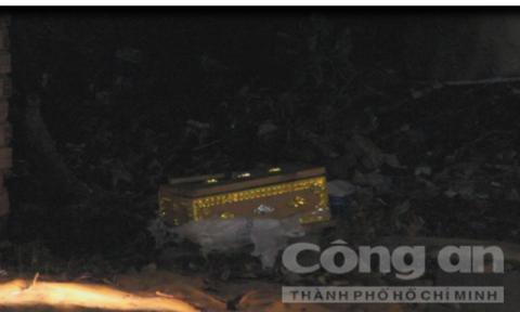 Quan tài chứa thi thể thai nhi trong bãi rác ở Bình Dương-1