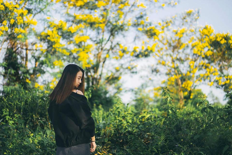 Đến Gia Lai ngất ngây trước rừng hoa muồng vàng rực-3