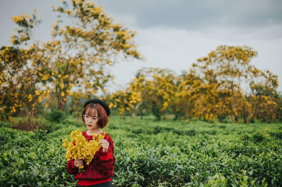 Đến Gia Lai ngất ngây trước rừng hoa muồng vàng rực-6