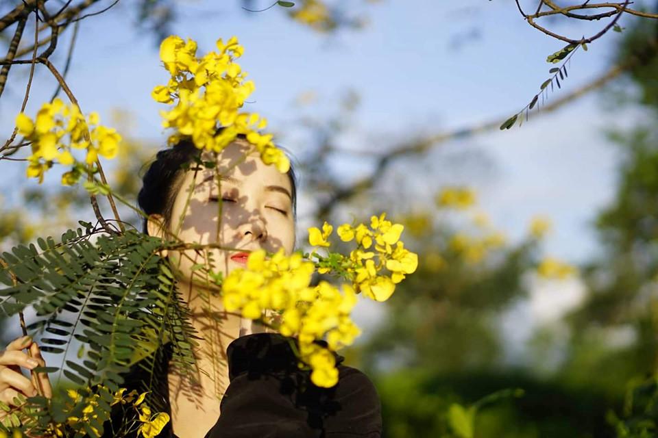 Đến Gia Lai ngất ngây trước rừng hoa muồng vàng rực-10