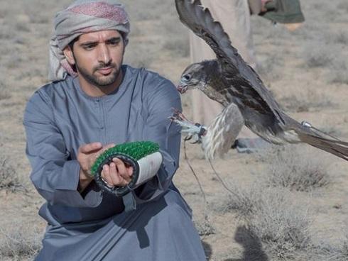 Chi hàng trăm triệu chơi mô hình robot ở Sài Gòn-1