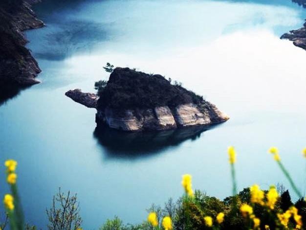 Khu rừng nhảy múa và những bí ẩn tự nhiên chưa có giải đáp-1