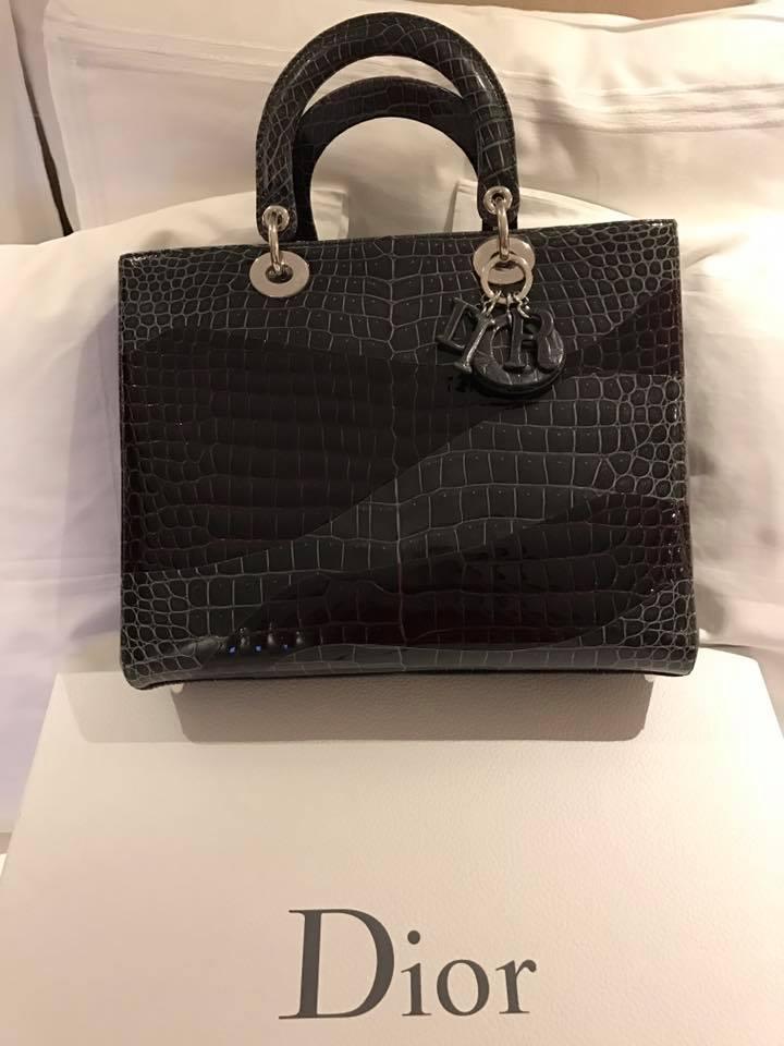 Nửa đêm, Thu Minh khoe túi limited giá nửa tỷ chồng tặng ủng hộ vợ gây dựng trại cá sấu-3