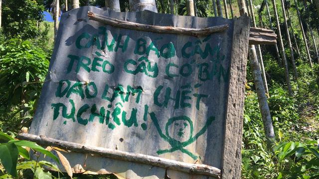 Quảng Ngãi: Rùng mình với cách chống trộm cau bằng... dao lam-2