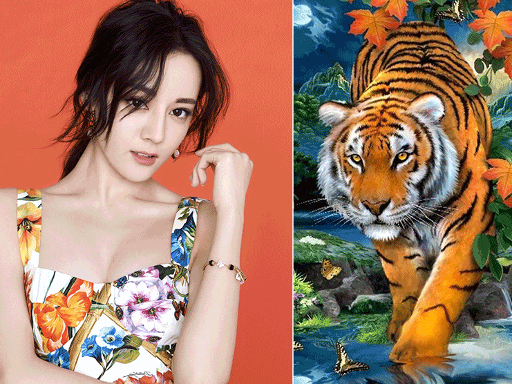 3 con giáp này cứ đầu tháng 11 là lộc lá bủa vây, đếm tiền mỏi tay, vận may kéo đến ồ ạt