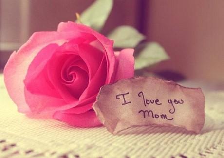 Những câu chúc hay và ý nghĩa không thể bỏ qua ngày 20-10-1