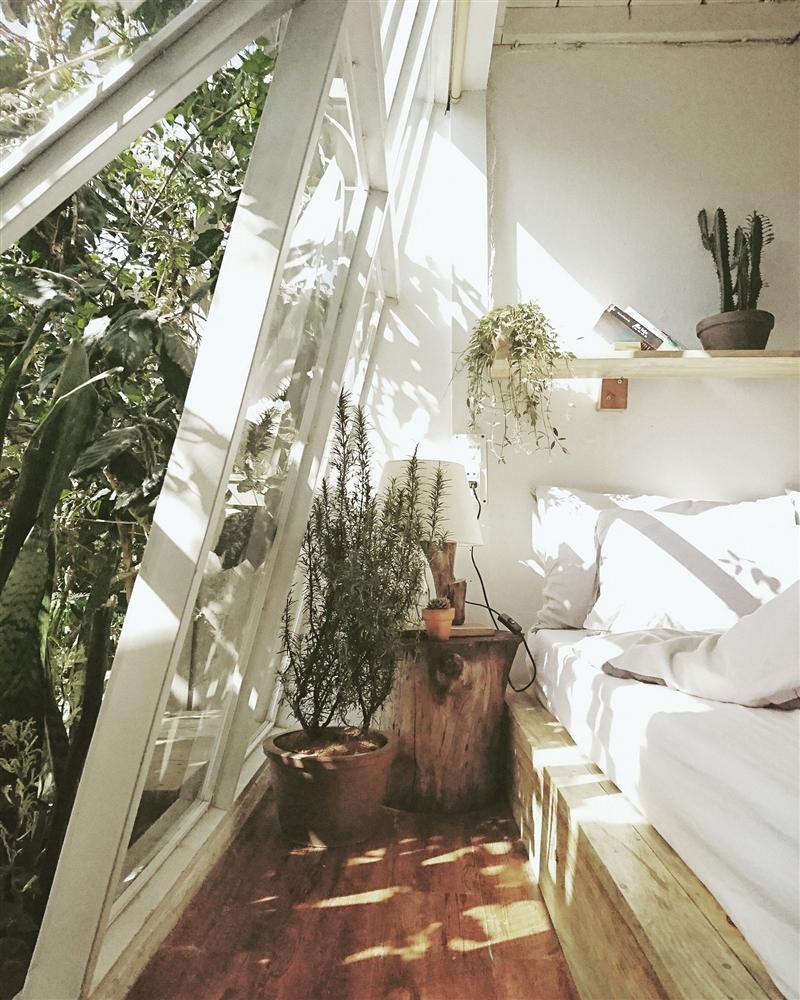 6 homestay đẹp quên lối về ở Đà Lạt mê hoặc các tín đồ sống ảo-5