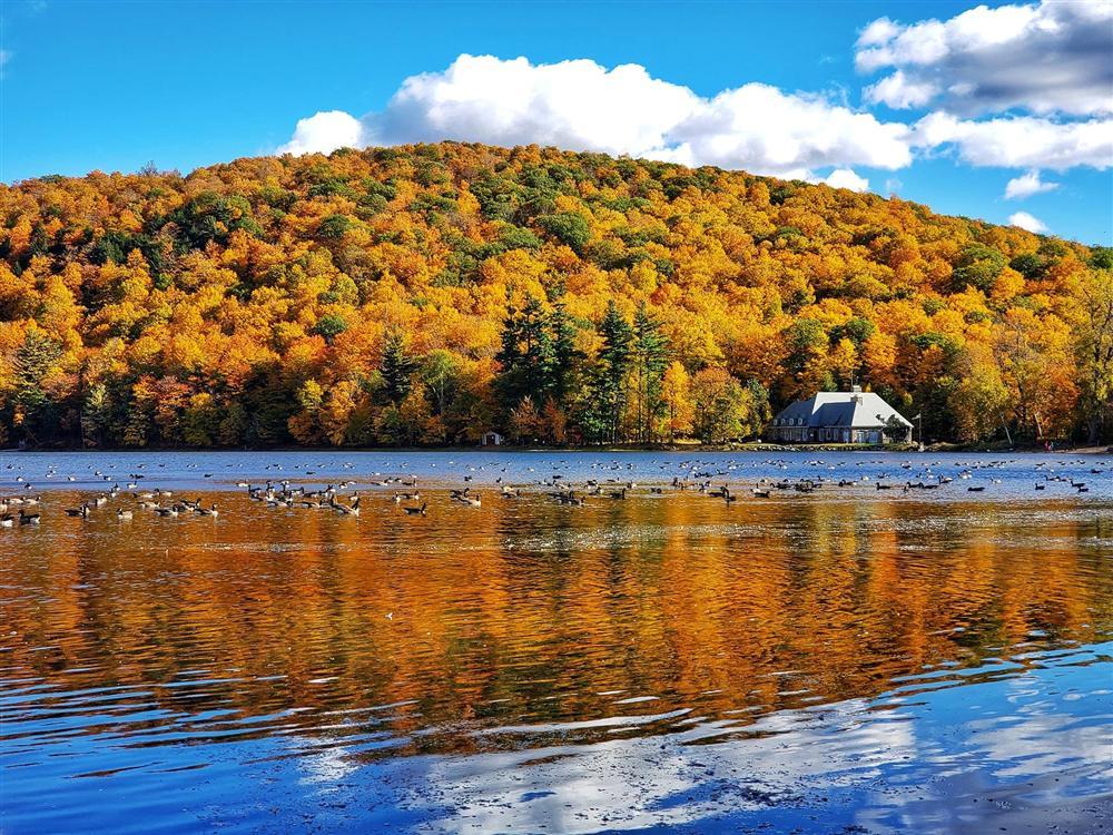 Say đắm vẻ đẹp Paris giữa vùng trời Bắc Mỹ mùa thay lá-1