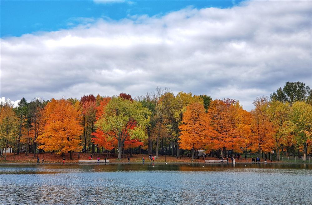 Say đắm vẻ đẹp Paris giữa vùng trời Bắc Mỹ mùa thay lá-2